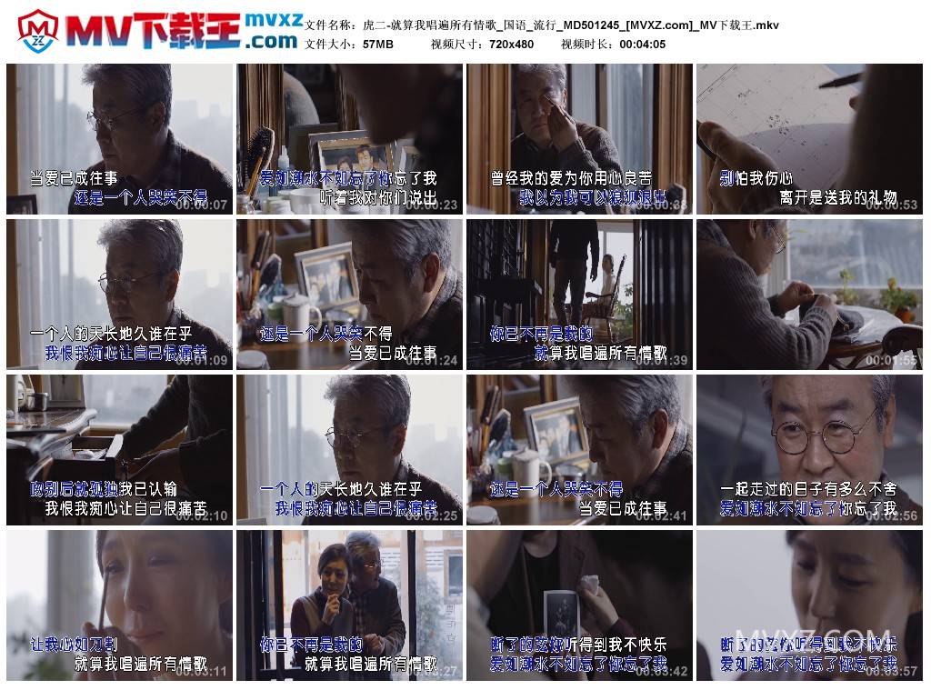 虎二-就算我唱遍所有情歌_国语_流行_MD501245